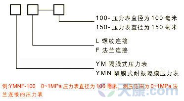 隔膜耐振壓力表規(guī)格示意